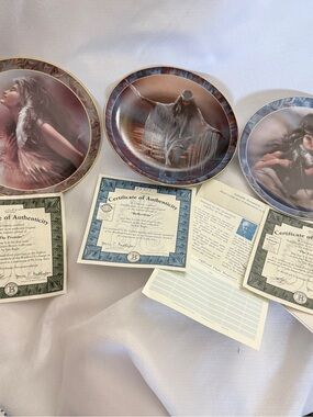 Set of 3 Vintage Bradford Exchange Native Beauty Collector Plates with COAs